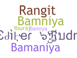 Přezdívka - Bamniya