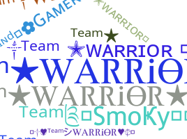 Přezdívka - TeamWarrior