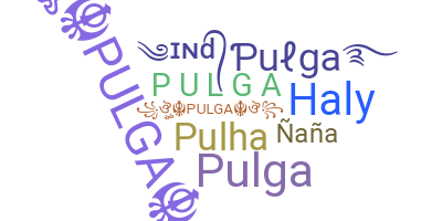 Přezdívka - Pulga