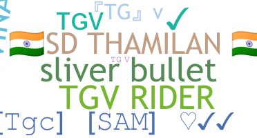 Přezdívka - TGV