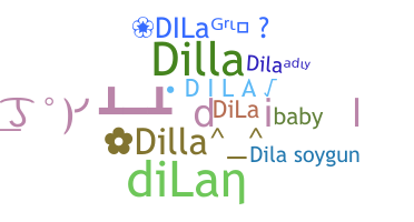 Přezdívka - Dila