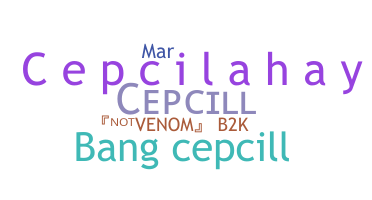 Přezdívka - CepcilL