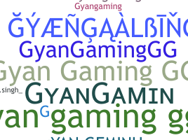 Přezdívka - GyanGaming