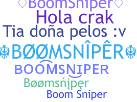 Přezdívka - BoomSniper