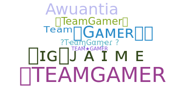 Přezdívka - TeamGamer
