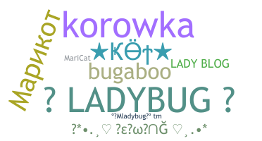 Přezdívka - Ladybug