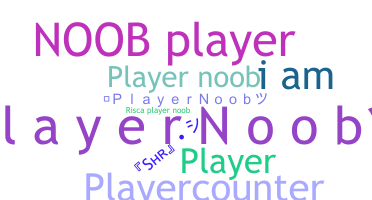 Přezdívka - PlayerNoob