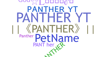 Přezdívka - PantherYT