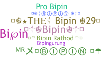 Přezdívka - Bipin
