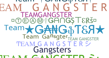 Přezdívka - TeamGangster