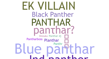 Přezdívka - panthar