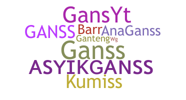Přezdívka - GansS