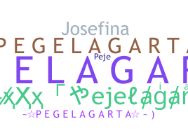 Přezdívka - Pejelagarto