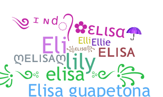 Přezdívka - Elisa