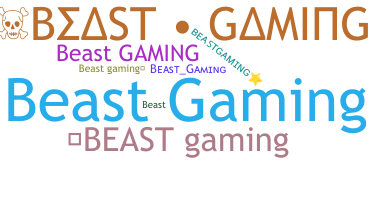 Přezdívka - BeastGaming