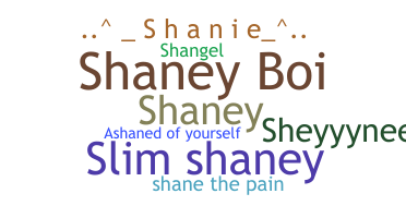 Přezdívka - Shane