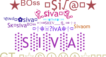 Přezdívka - SIVa