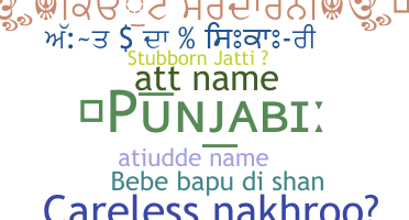 Přezdívka - Punjabi