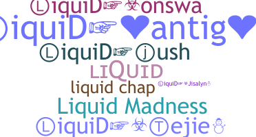 Přezdívka - Liquid