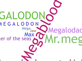 Přezdívka - Megalodon