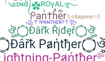 Přezdívka - Panther