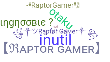 Přezdívka - Raptorgamer