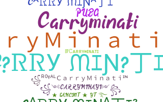 Přezdívka - CarryMinati