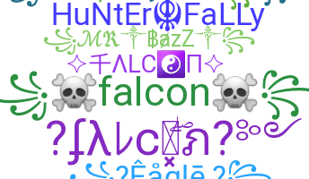 Přezdívka - Falcon