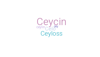 Přezdívka - Ceylin