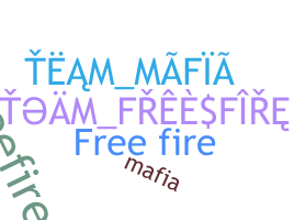 Přezdívka - TeamFreeFire