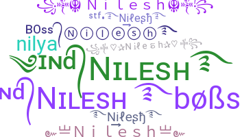 Přezdívka - Nilesh