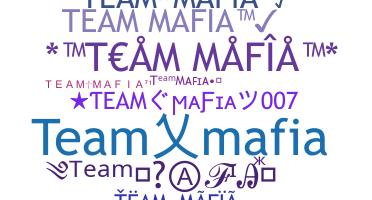 Přezdívka - TeamMafia