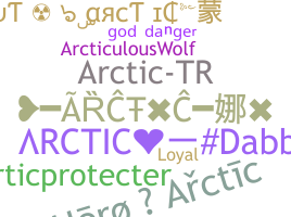 Přezdívka - Arctic