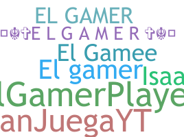 Přezdívka - Elgamer