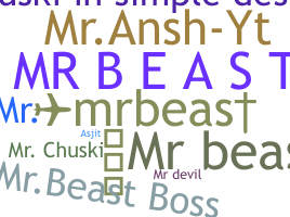 Přezdívka - mr.beast