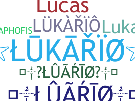 Přezdívka - Lukario
