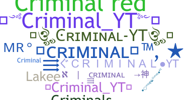 Přezdívka - CriminalYT
