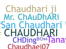 Přezdívka - Chaudhari