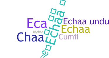 Přezdívka - echaa