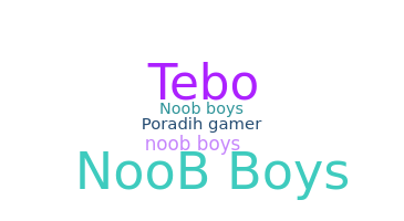 Přezdívka - Noobboys