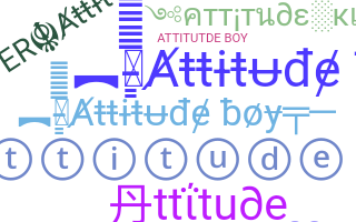 Přezdívka - Attitudeboy