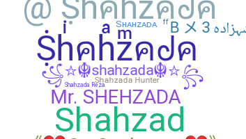 Přezdívka - Shahzada