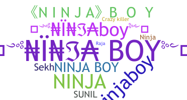 Přezdívka - NinjaBoy