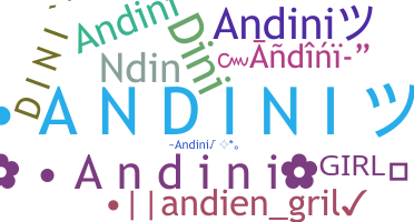 Přezdívka - Andini