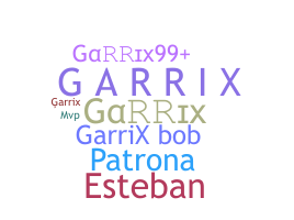 Přezdívka - Garrix