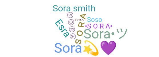 Přezdívka - Sora