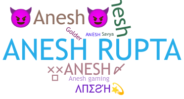 Přezdívka - Anesh