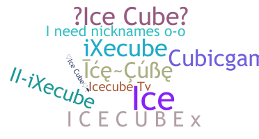 Přezdívka - icecube