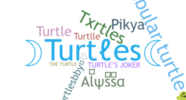 Přezdívka - Turtles