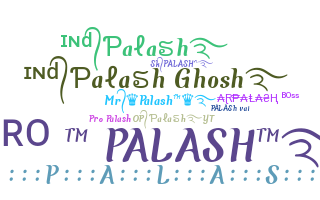 Přezdívka - Palash